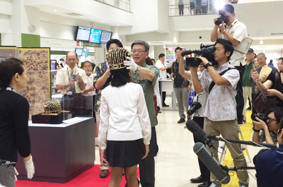 那覇市議会議員　中村圭介　戴冠